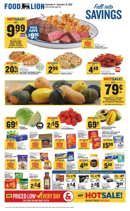 Food Lion Weekly Ad