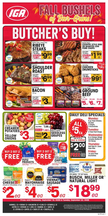 IGA Southeast flyer