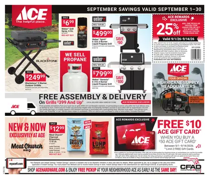 Ace Hardware Local Ad