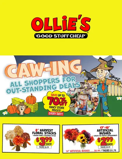 Ollie's Bargain Outlet Current Flyer