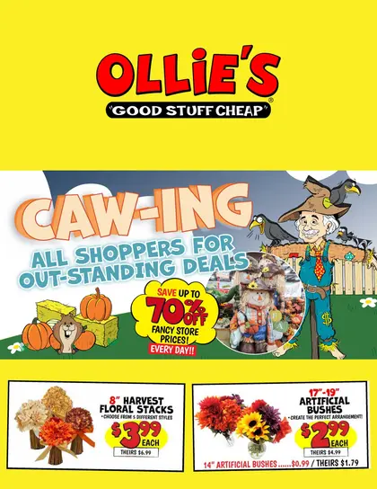 Ollie's Bargain Outlet Current Flyer
