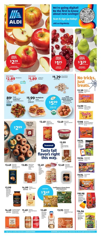 ALDI Weekly Ad