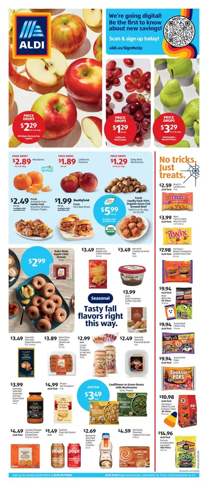 ALDI Weekly Ad