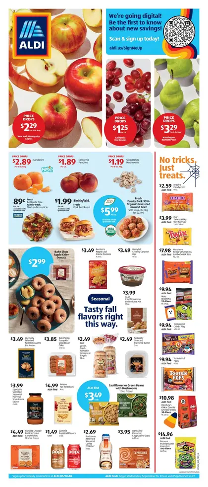 ALDI Weekly Ad