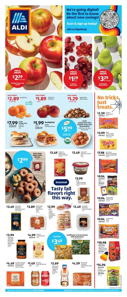 ALDI Weekly Ad