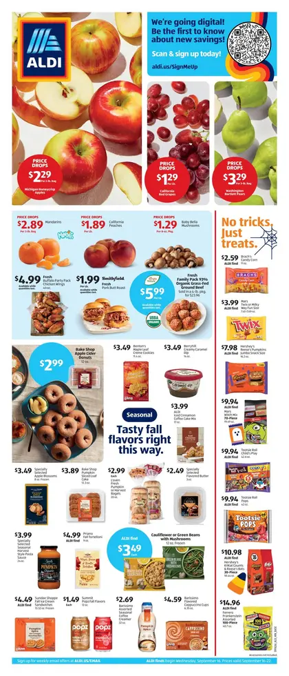 ALDI Weekly Ad