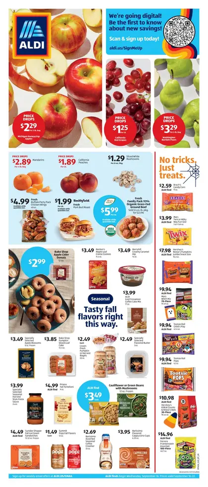 ALDI Weekly Ad