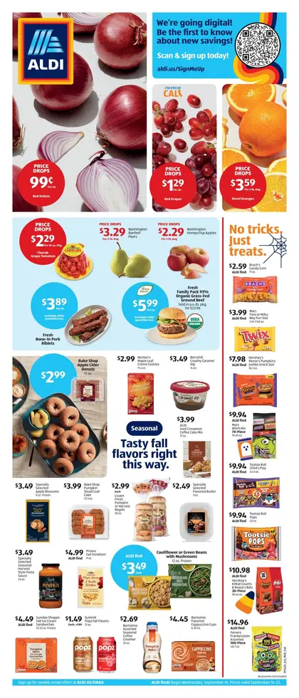 ALDI Weekly Ad