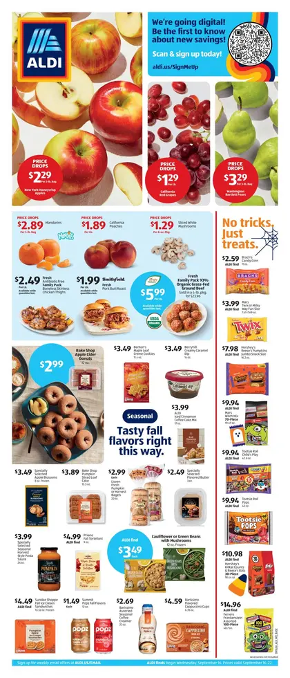 ALDI Weekly Ad