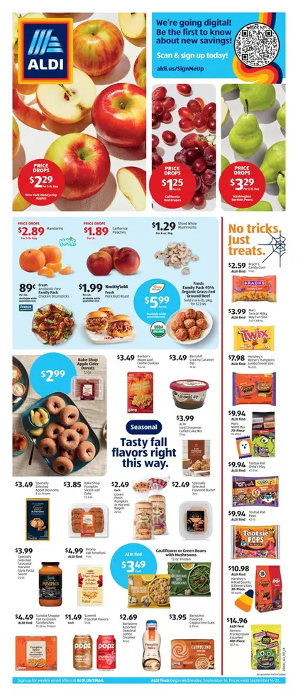 ALDI Weekly Ad