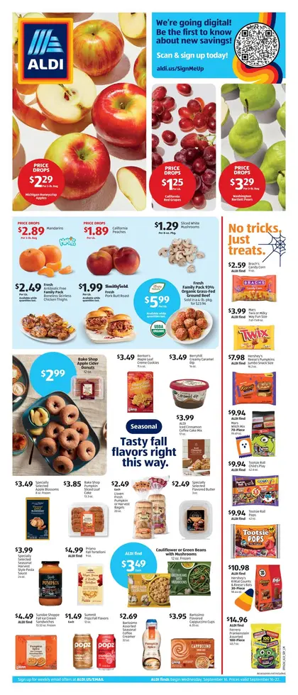 ALDI Weekly Ad