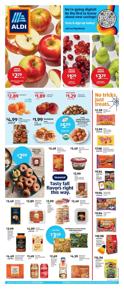 ALDI Weekly Ad