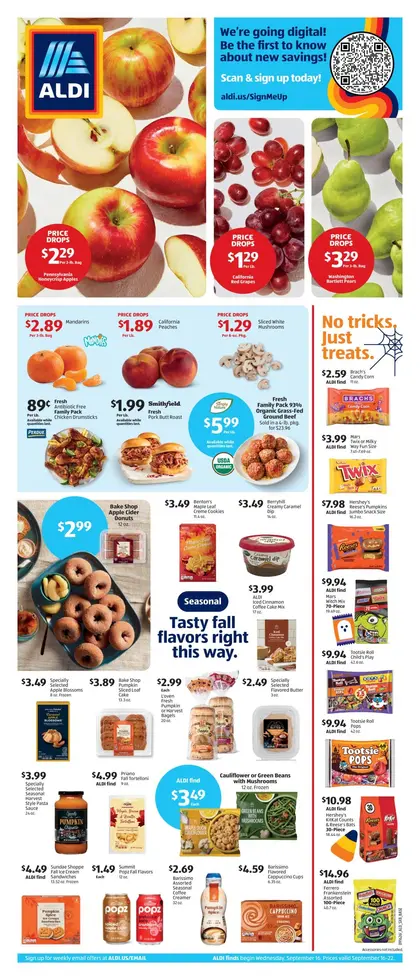 ALDI Weekly Ad