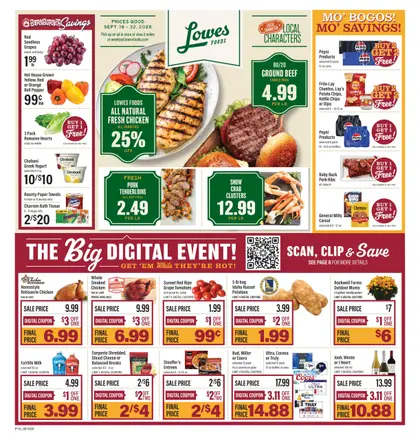 Lowes Foods Weekly Ad