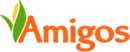 Amigos United logo