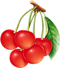 Cherry Valley Marketplace logo