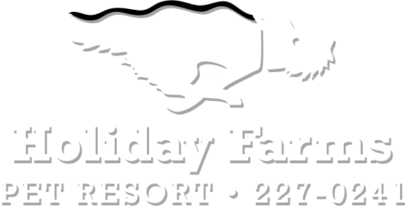 Holiday Farms logo