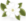 Treppendahl's Super Foods logo