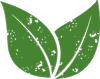 The Market at Edgewood logo