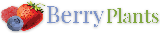 Krieger's Wholesale Nursery logo