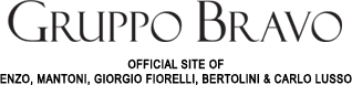 Gruppo Bravo logo