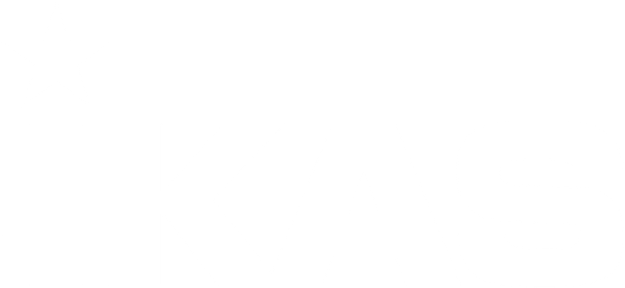 Mikasa Sports USA logo