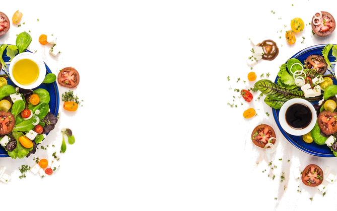 Gourmet Food Solutions logo
