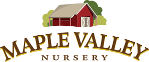 Maple Valley Nursery logo