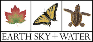 Earth Sky + Water logo