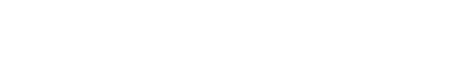 Flexfit logo