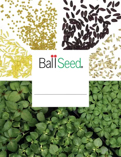 Ball Seed Seed and Plugs Catalog Weekly Ad