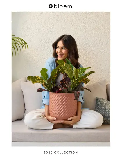 Bloem Living Planters Catalog Weekly Ad