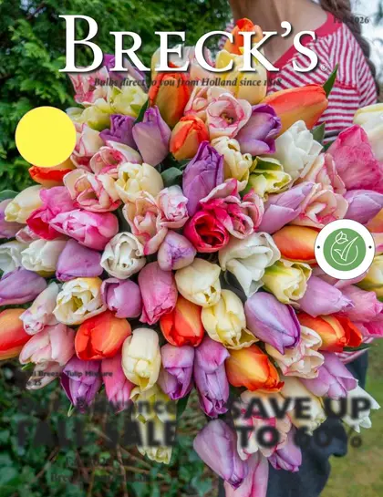 Breck's Fall 2026 Catalog Weekly Ad