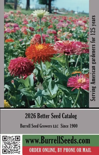 Burrell Seeds Seed Catalog Weekly Ad
