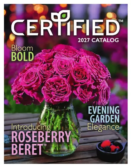 Certified Nurseries Wholesale Roses Catalog Weekly Ad