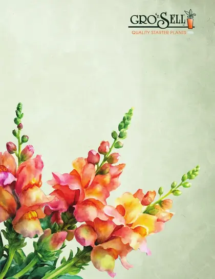 Gro'n Sell Plants Catalog Weekly Ad