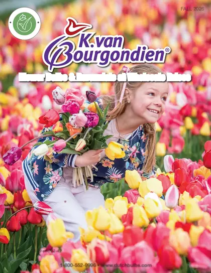K. van Bourgondien Fall 2026 Catalog Weekly Ad