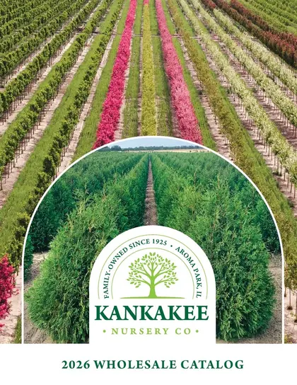 Kankakee Nursery Wholesale Nursery Catalog Weekly Ad