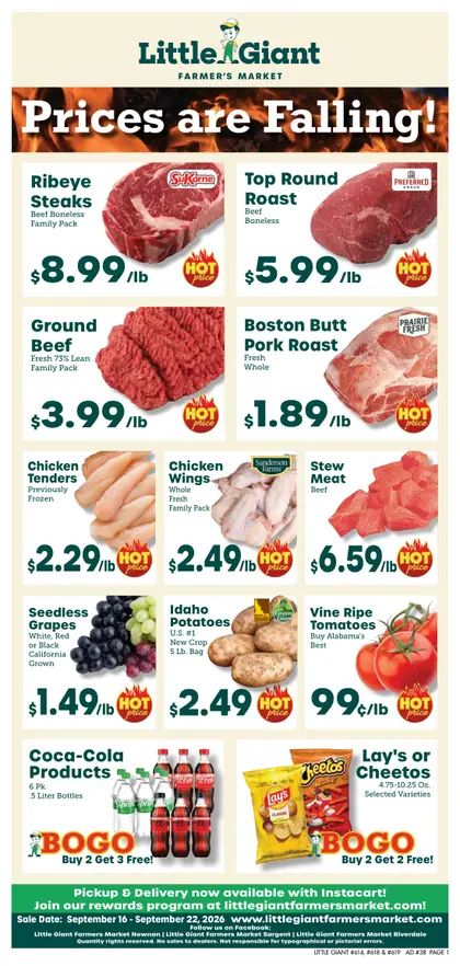 Little Giant Weekly Ad