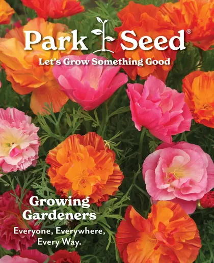 Park Seed Big Seed Spring Catalog Weekly Ad
