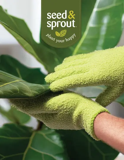 Seed & Sprout Annual Catalog Weekly Ad
