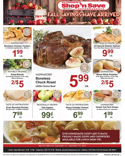 Plummer's Shop 'n Save Weekly Ad