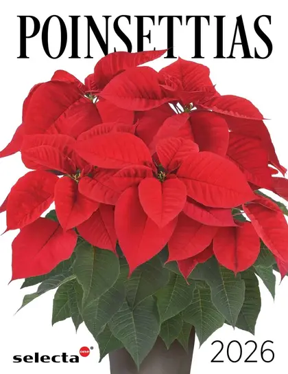 Selecta North America Poinsettia Catalog Weekly Ad