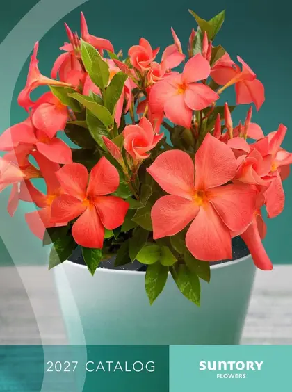 Suntory Flowers Flowers Catalog Weekly Ad
