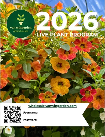 Van Wingerden Greenhouses Wholesale Plants Catalog Weekly Ad